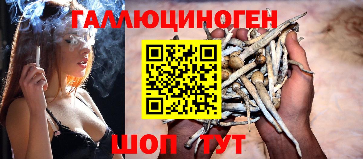 Псилоцибиновые грибы GOLDEN TEACHER  Галлюциногенные грибы MAGIC MUSHROOMS  Вход с VPN  Будённовск 